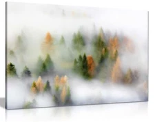 Misty Forest in Autumn Framed Canvas Print Wall Art Home Decor