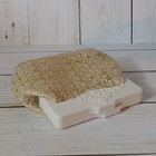 Foto 11 di 11