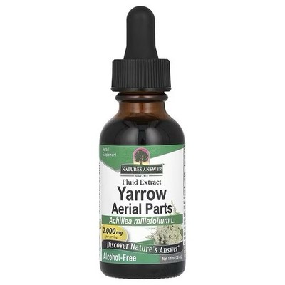 Nature's Answer, Yarrowoberirdische Pflanzenteile, alkoholfrei, 2.000 mg, 30 ml