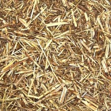 St. John's Wort BULK HERBS 1 lb 16 oz 