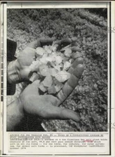 1974 Press Photo San Francisco Bay workman holds raw salt crystals. - hpw17127
