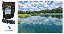 Fish Pond and Lake Dye Packs Concentrated Dry Blue Pond Dye 8 Pack Treats 2 acre