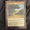 Wizards of the Coast Exotic Orchard Land Rare Dominaria United Commander 209