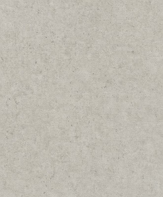 Rasch Vliestapete Factory V Beton Unitapete 520859