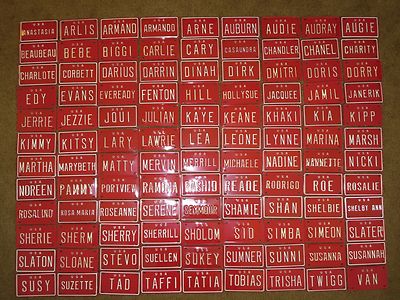 Vintage Personalized U S A Mini Bike Bicycle Vanity Metal License Plate Sign