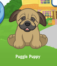 Webkinz Puggle Puppy Virtual Adoption Code Only Messaged Webkinz Puggle Puppy