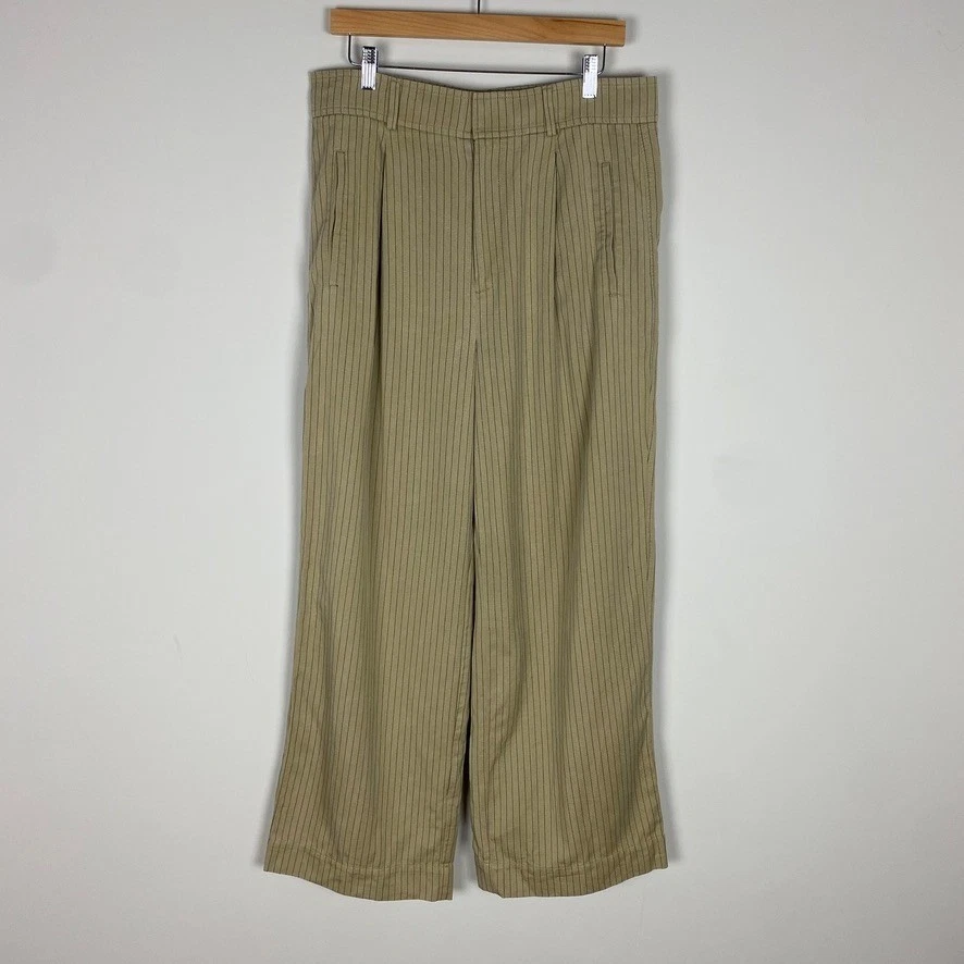 Everlane The Draper Pleated Pants in Buttersmooth Pinstripe Pleated Wide Leg
