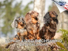Dachshund - Longhaired Dog Breed Calendar 2026 12x18 Made in USA