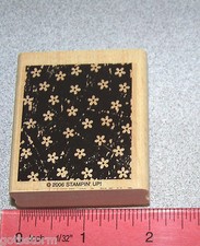 Daisy Flowers Rubber Stamp Single Nice Size by Stampin Up Background Sampler