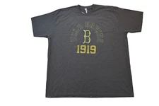 J. America Mens NCAA UCLA Bruins 1919 Distressed Print Shirt NWT M, L, XL, 2XL