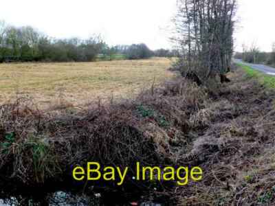 Foto 6x4 Felder auf Shapwick Heath c2011
