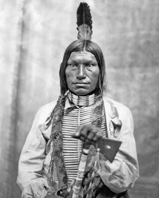 1881 Native American Indian CHIEF LOW DOG 8x10 Photo Oglala Sioux Print Poster