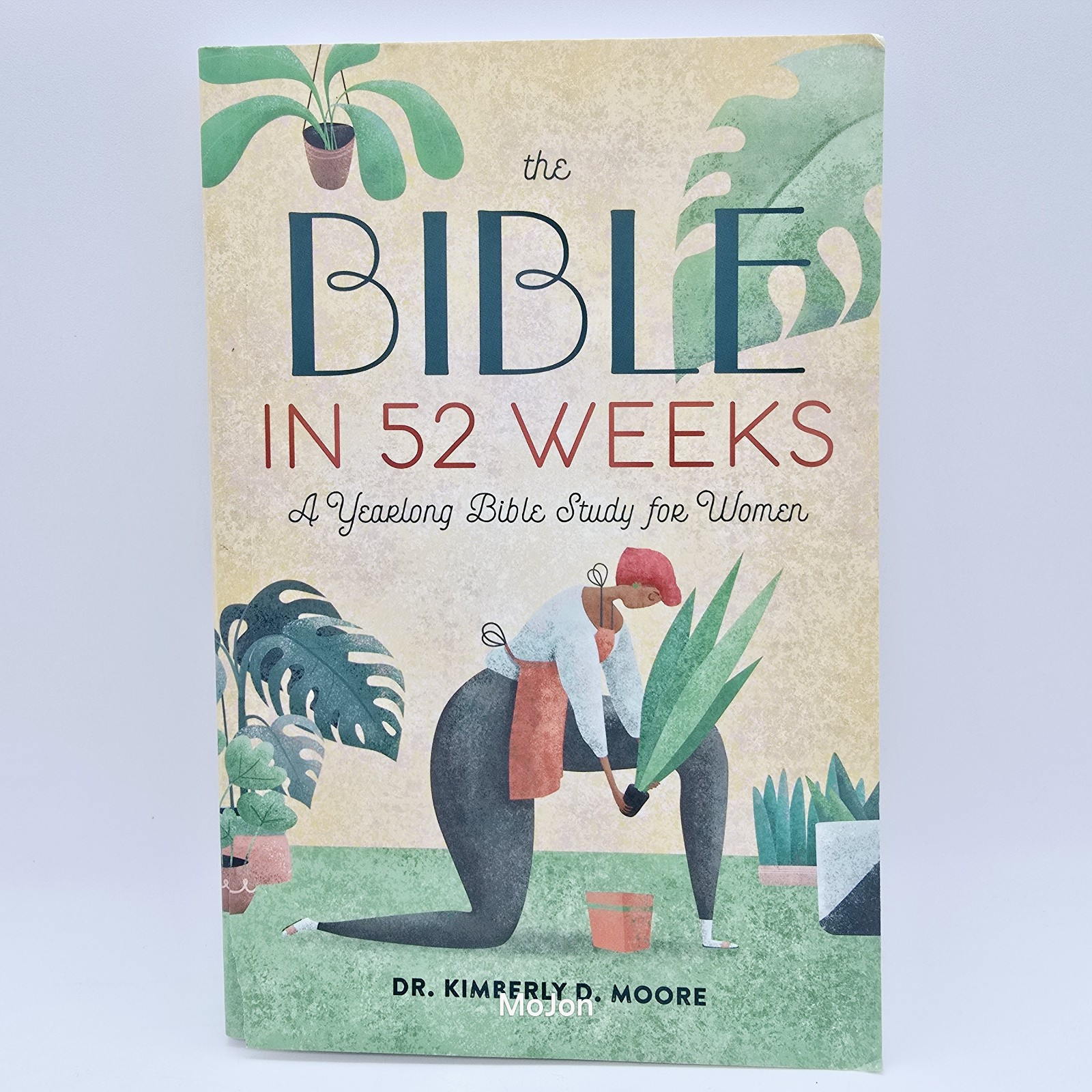 The Bible in 52 Weeks: a Yearlong Bible Study for Women, Themed Readings