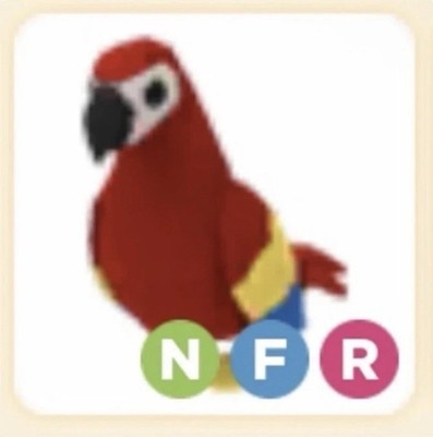 NFR Parrot! Adopt Me Pet!   
