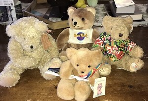 Hard Rock Bear | eBay