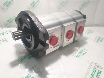 Pompa idraulica per CATERPILLAR 301.5 301.6 301.8 ZEPPELIN 201-0920