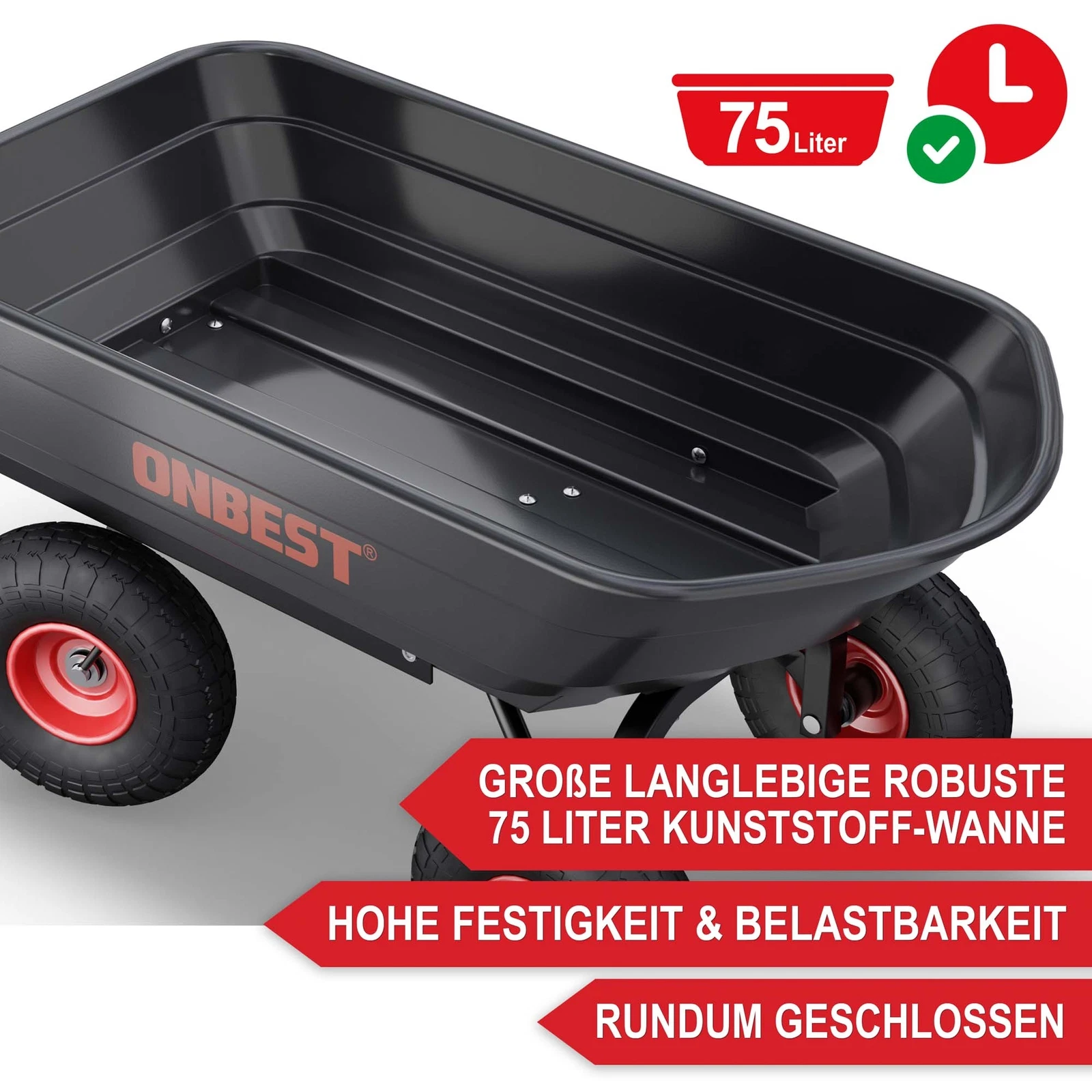 Bild 4 von 12