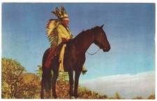 Comanche Native American Chief Sauepitty, Horse, Craterville Park, Cache, OK.