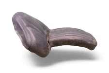 VINTAGE CHOPPER SEAT CORBIN GENTRY RIGID PAN SHOVEL KNUCKLE HARLEY #2 *2080