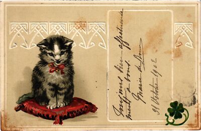 CPA AK CATS (1340973)