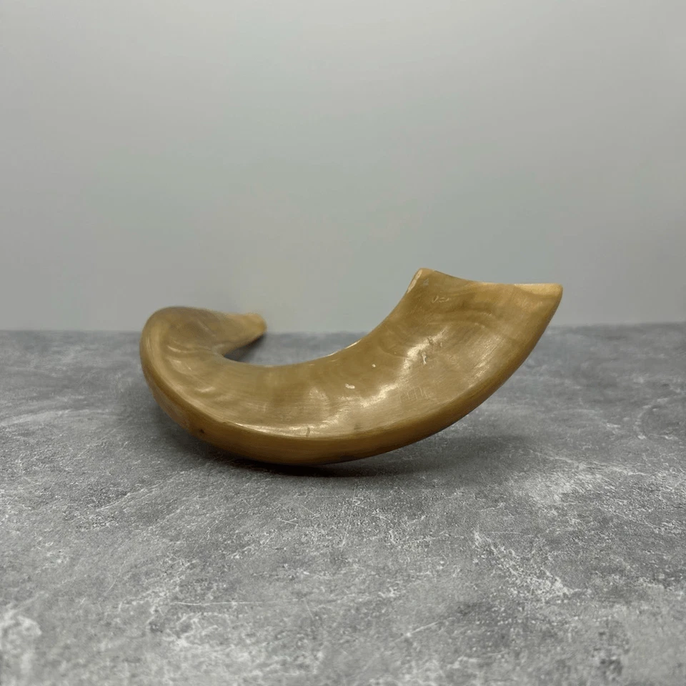 Davida Yehuda Hand Painted Anointing Oil Ram Horn Polished Shofar - Image 4 of 4