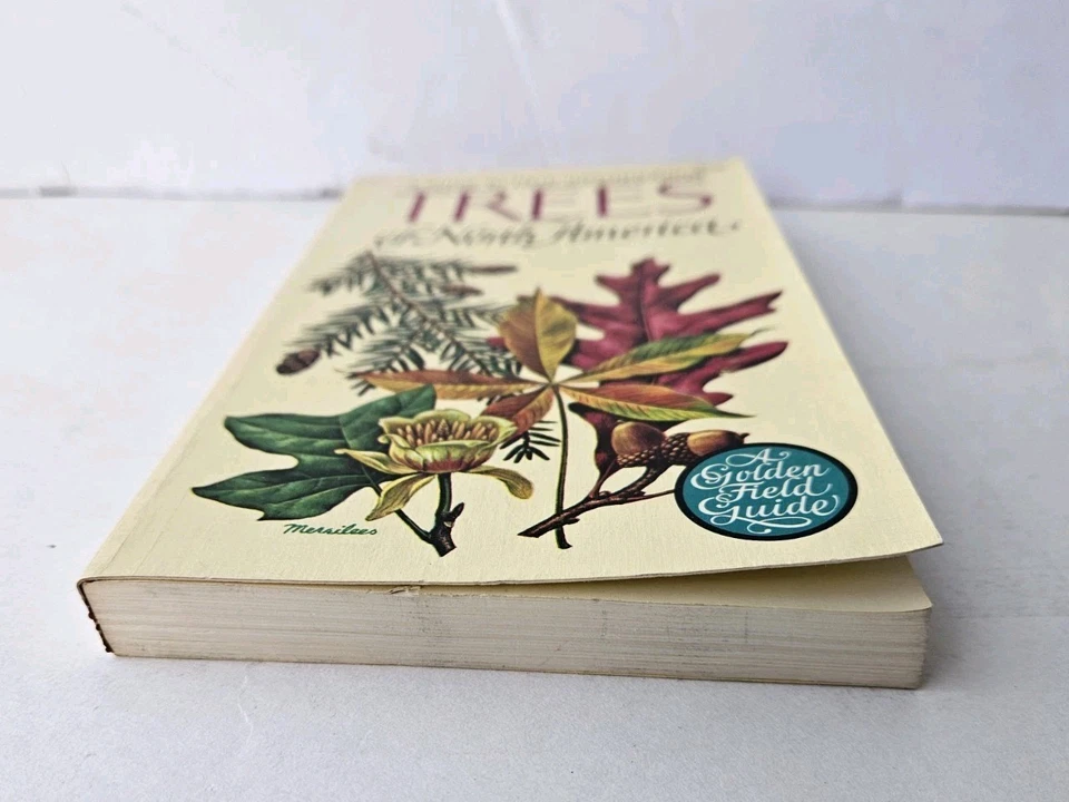 A Guide To Field Identification Trees of North America 1968 Golden Field Guide - Image 4 of 4