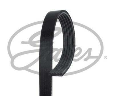 GATES 5PK1215 V-Rippenriemen Für ALFA ROMEO, CHEVROLET, FIAT, JEEP, PONTIAC