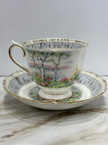 Royal Albert Silver Birch Bone China Footed England J557 Tea Cup & Saucer Set