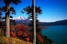 Landscape volcano chile forest lake fall snowy peak Custom Gaming Mat Desk