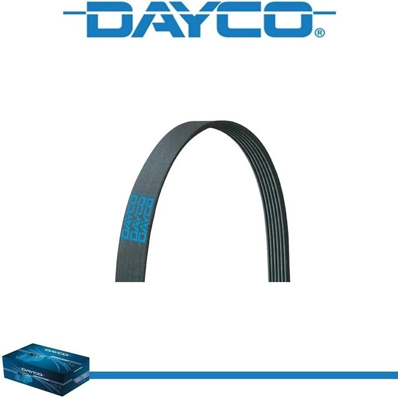 Cinturón Serpentine Dayco Poly Rib para BLANCO/GMC WCS 1988-1991 L6-10,0 L Foto 2 de 4