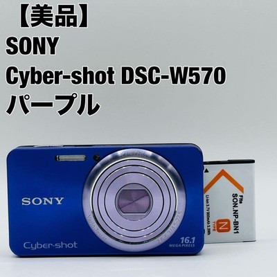 Sony Cyber-Shot DSC-W570 Compact Camera Used Authentic