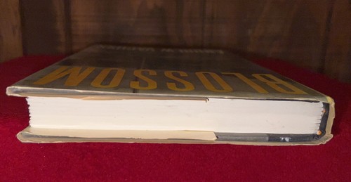 Signed Autographed 1st Edition Hardcover Book Blossom by Andrew Vachss - Picture 5 of 17