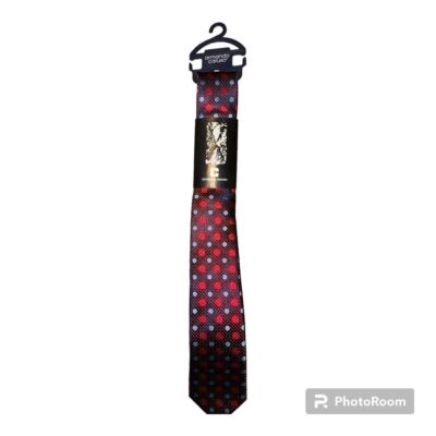 Armando Caruso Blue and Red Polka Dot Men s Tie