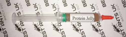Live Queen Ant Food Jelly Harvester Ants Organic Seeds Mix Protein Best Ants UK - Picture 14 of 15