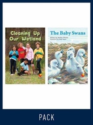 Flying Start Guided Reading Level 18, Pack 3: Paired student books (6x6) and les