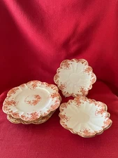 c 1896 Wileman & Co Foley China daisy shaped spares  "Trailing Daisies" #5657