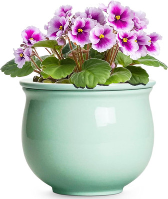 6 Inch African Violet Pots, Ceramic Self Watering Planter with Absorbent Inner P