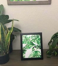 Monstera Leaves