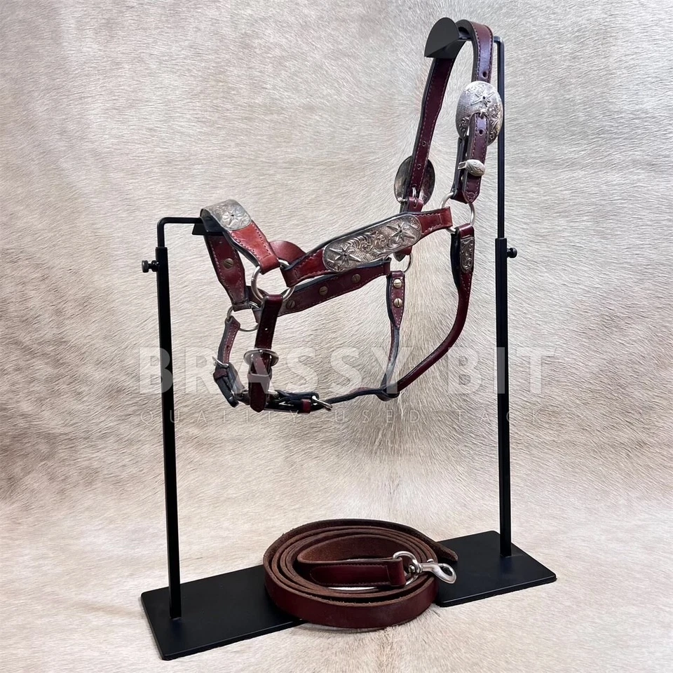 Halter de exhibición plateado estilo Congreso Dale Chávez con plomo Foto 4 de 4