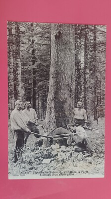 UNGEFÄHR SALINS LES BATHS ... FÄLLUNG EINER RIESIGEN TANNE .. HOLZHANDWERK