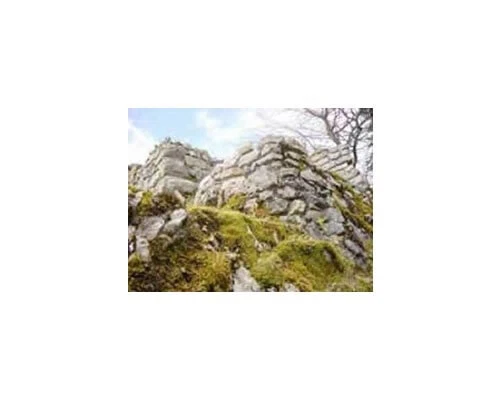 Castello di Grenchen - Scala 1:55 AS1052 - aedes modellismo - Immagine 3 di 4