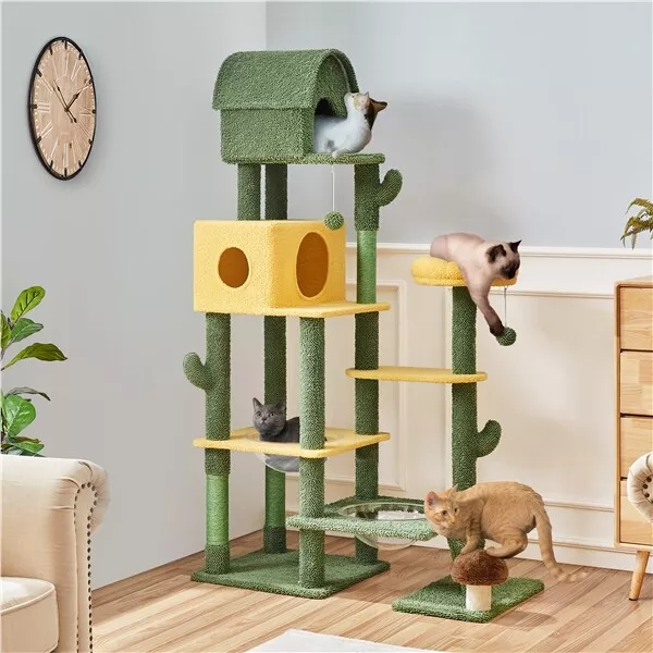 Indoor cat top climbing tree