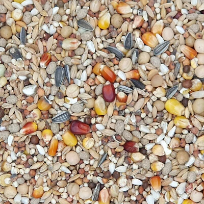 Mifuma - Zucht + Mauser Premium - Taubenfutter - 25kg