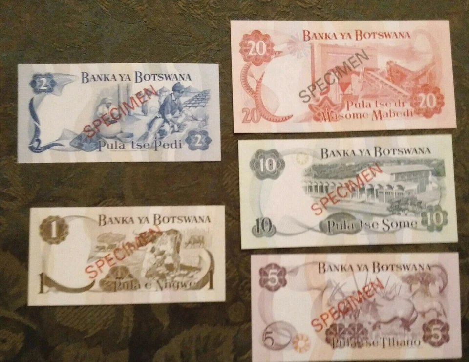 BOTSWANA 1979 1 - 20 Pula Complete 5 Specimen Set CS1 P 1-5 UNC 002904 COA - Image 2 of 3