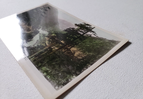 Vintage Photo Postcard FRASER CANYON near BOSTON BAR British Columbia Railway - Foto 2 di 3