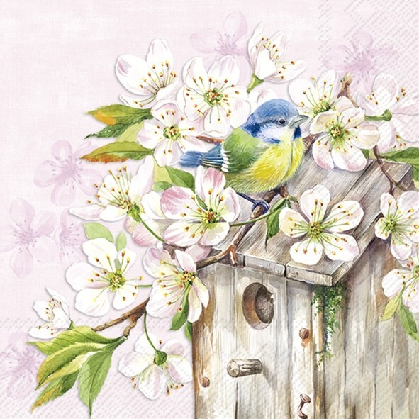 4xLunch Paper Napkins/3Ply/33cm/Decoupage/Bird/Blossom/Cherry Blossom Bird House
