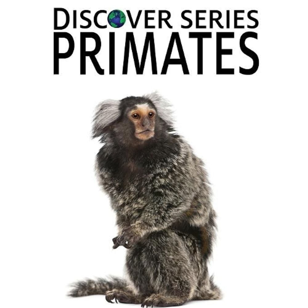Primates by Xist Publishing (English) Paperback Book 9781623950705 ...