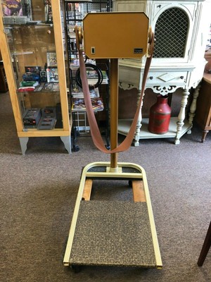 exercise vibration belt