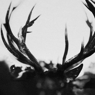 Ihsahn - IHSAHN - Black Yolk [New Vinyl LP] Black, Colored Vinyl