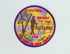 Sam Houston Area Council Boy Scout Camp Patch 1991 Summer Camps BSA